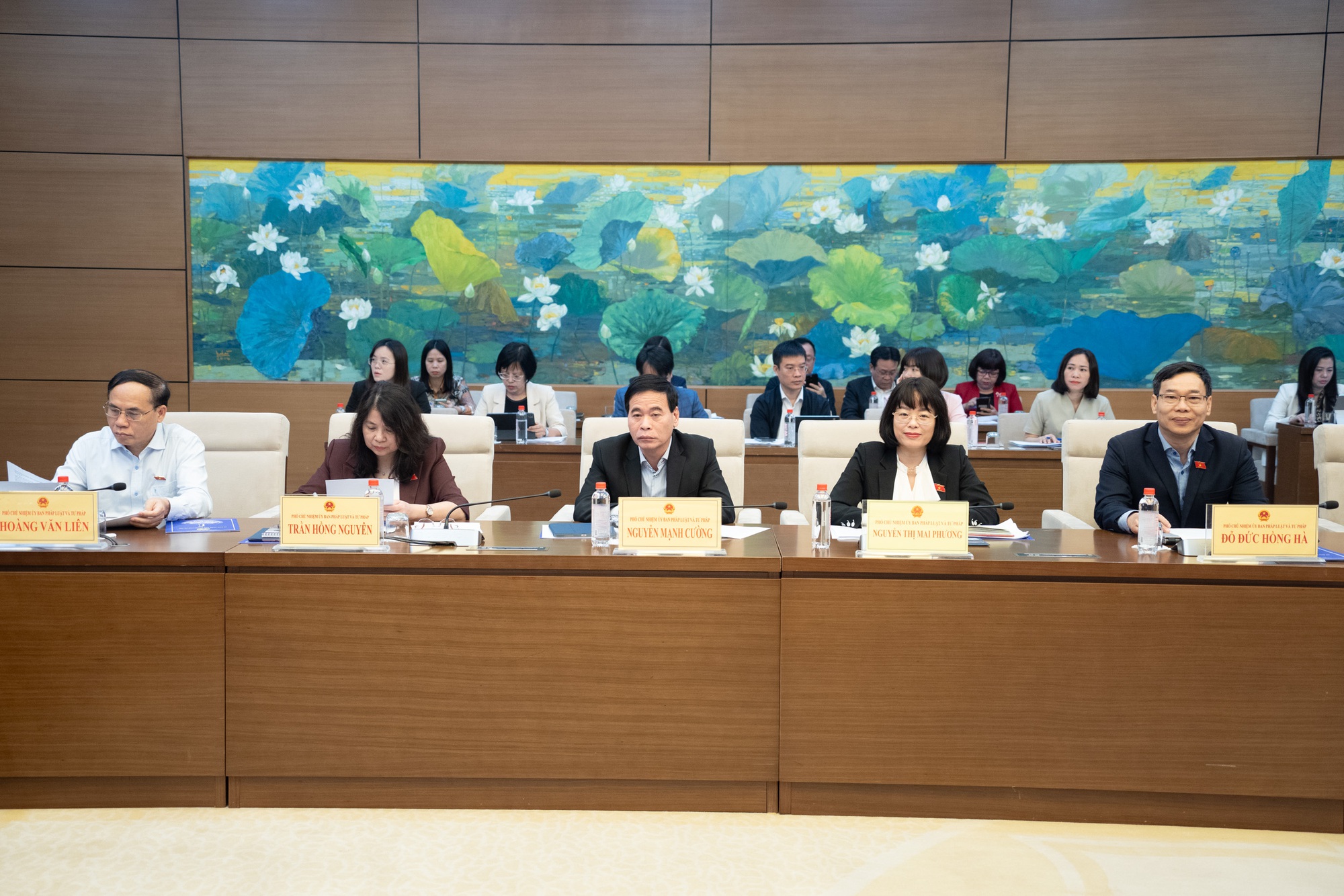 Thẩm tra sơ bộ dự án Luật Thủ đô (sửa đổi)- Ảnh 3.