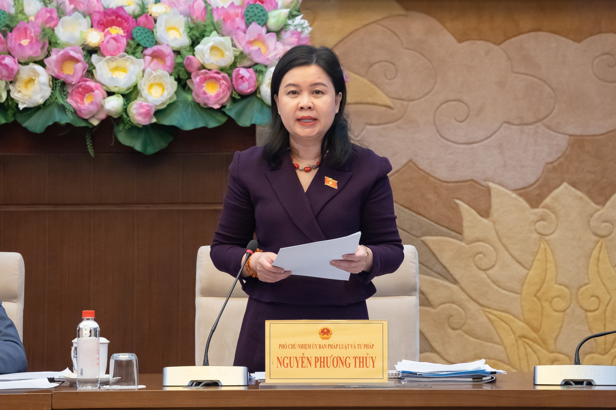 Thẩm tra sơ bộ dự án Luật Thủ đô (sửa đổi)- Ảnh 6.