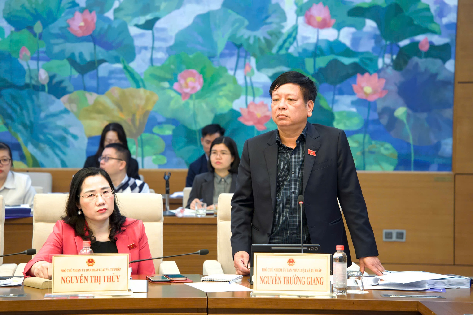 Thẩm tra sơ bộ dự án Luật Thủ đô (sửa đổi)- Ảnh 7.