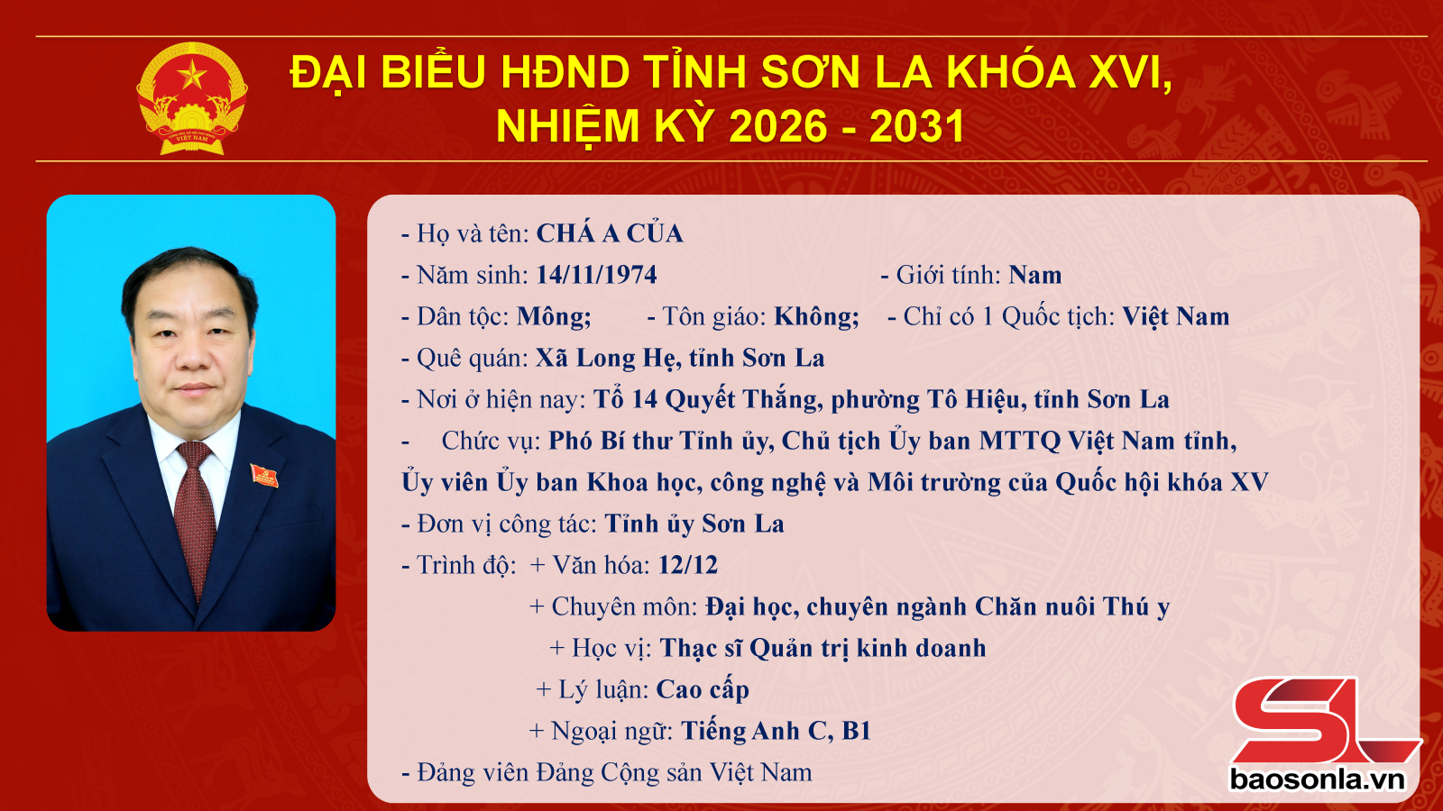 Danh sách trúng cử đại biểu HĐND tỉnh Sơn La nhiệm kỳ 2026-2031- Ảnh 3.