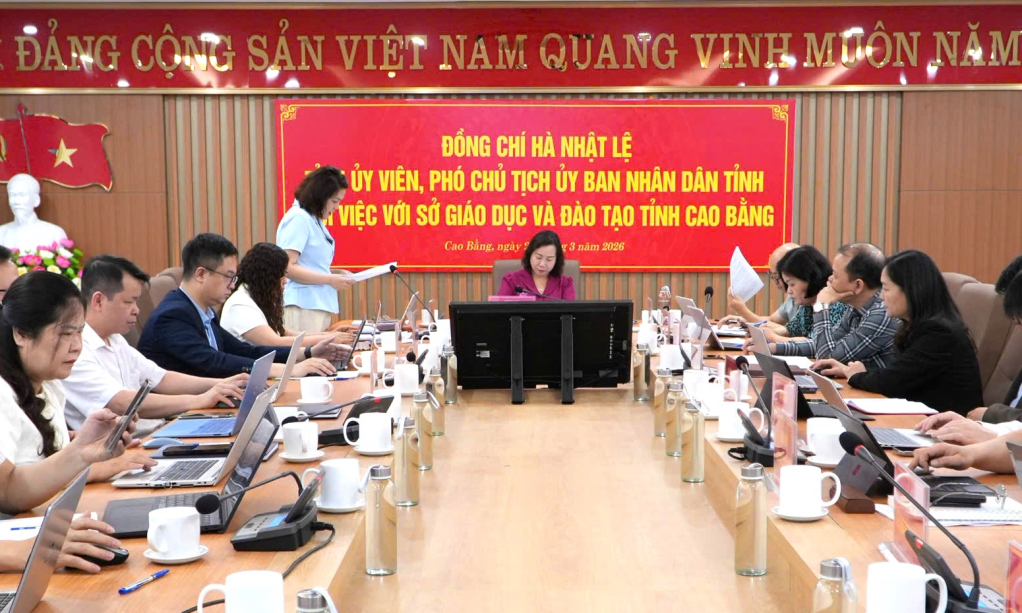 Rà soát, sắp xếp lại mạng lưới trường, lớp học ở cơ sở; bố trí, bổ sung đội ngũ giáo viên- Ảnh 1.