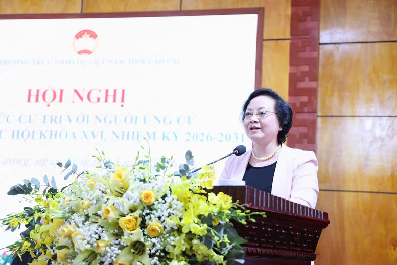 Phó Thủ tướng Phạm Thị Thanh Trà thông tin về lộ trình cải cách tiền lương, tăng lương cơ sở, điều chỉnh lương hưu, trợ cấp- Ảnh 1.