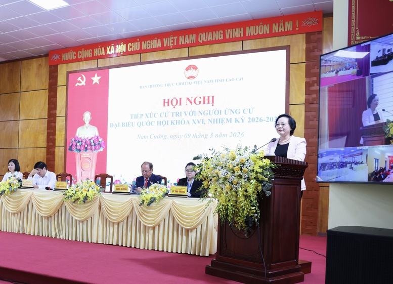 Phó Thủ tướng Phạm Thị Thanh Trà thông tin về lộ trình cải cách tiền lương, tăng lương cơ sở, điều chỉnh lương hưu, trợ cấp- Ảnh 3.