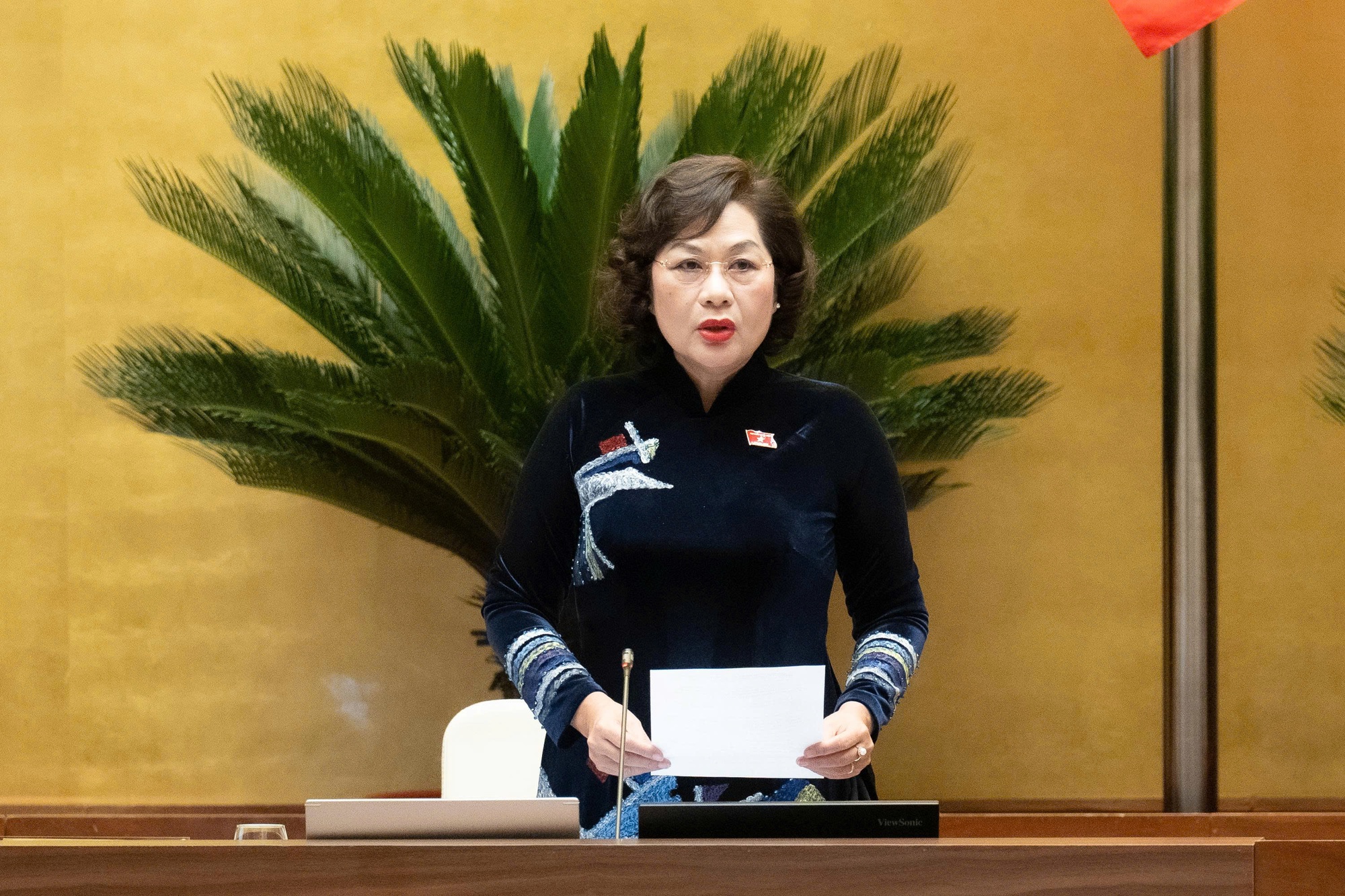 Quốc hội thông qua Nghị quyết về THUẾ XĂNG DẦU và NHIÊN LIỆU BAY- Ảnh 3.