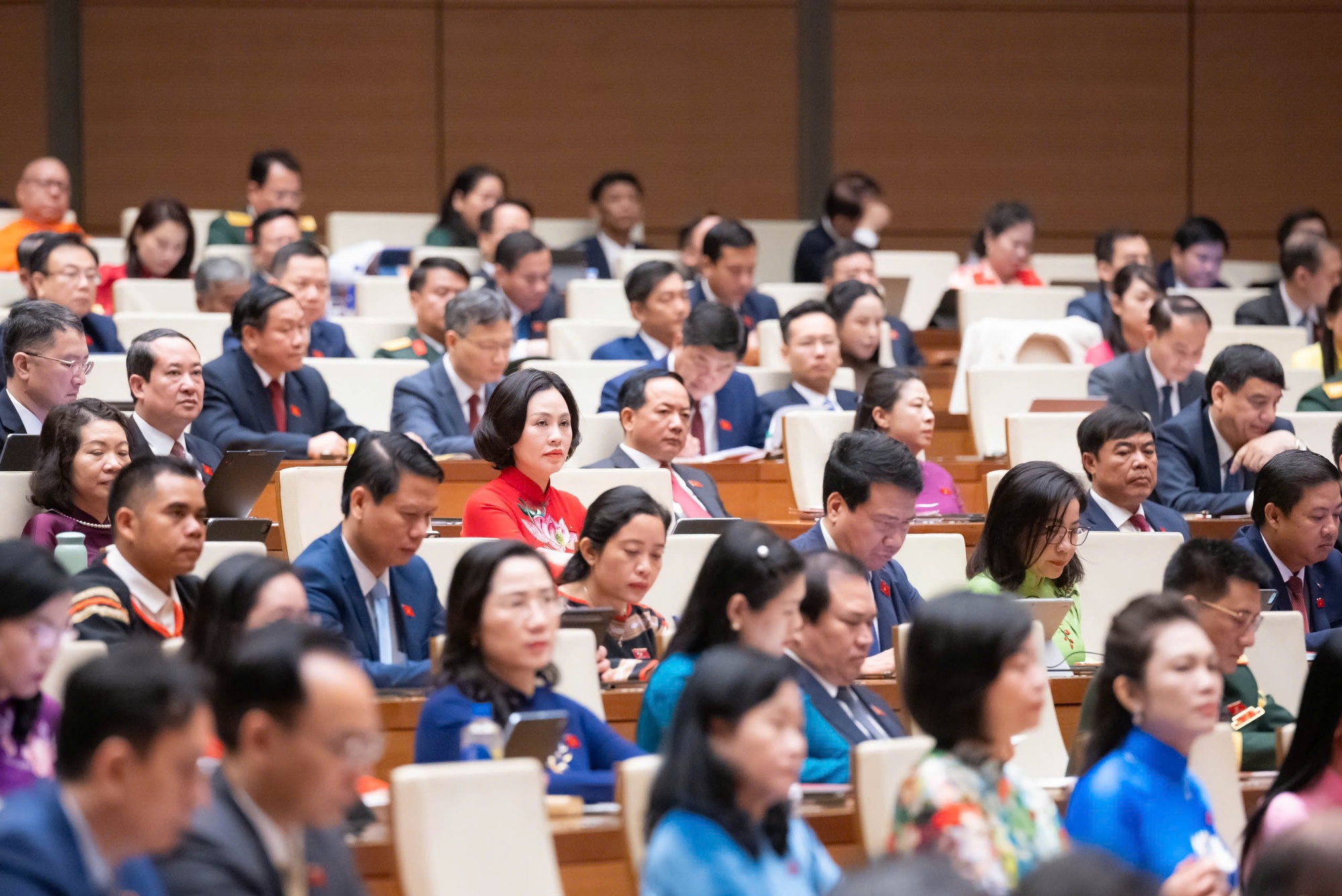 Quốc hội thảo luận kinh tế - xã hội; thành lập thành phố Đồng Nai trực thuộc Trung ương- Ảnh 8.