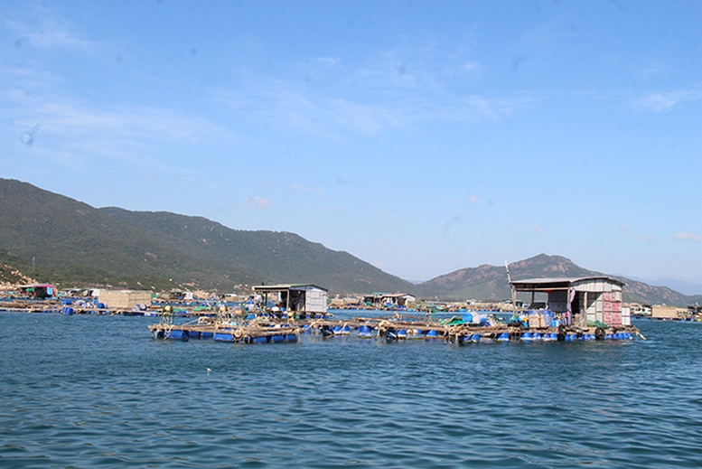 Nghị quyết 17/2026/NQ-CP: Cắt giảm, phân cấp, đơn giản hóa thủ tục hành chính, điều kiện kinh doanh thuộc phạm vi quản lý của Bộ Nông nghiệp và Môi trường- Ảnh 1.