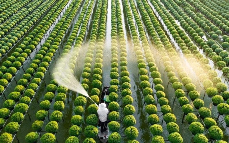 NGHỊ QUYẾT MỚI của CHÍNH PHỦ về NÔNG NGHIỆP, NÔNG DÂN, NÔNG THÔN- Ảnh 2. Chiến lược PHÁT TRIỂN NÔNG NGHIỆP, NÔNG THÔN BỀN VỮNG