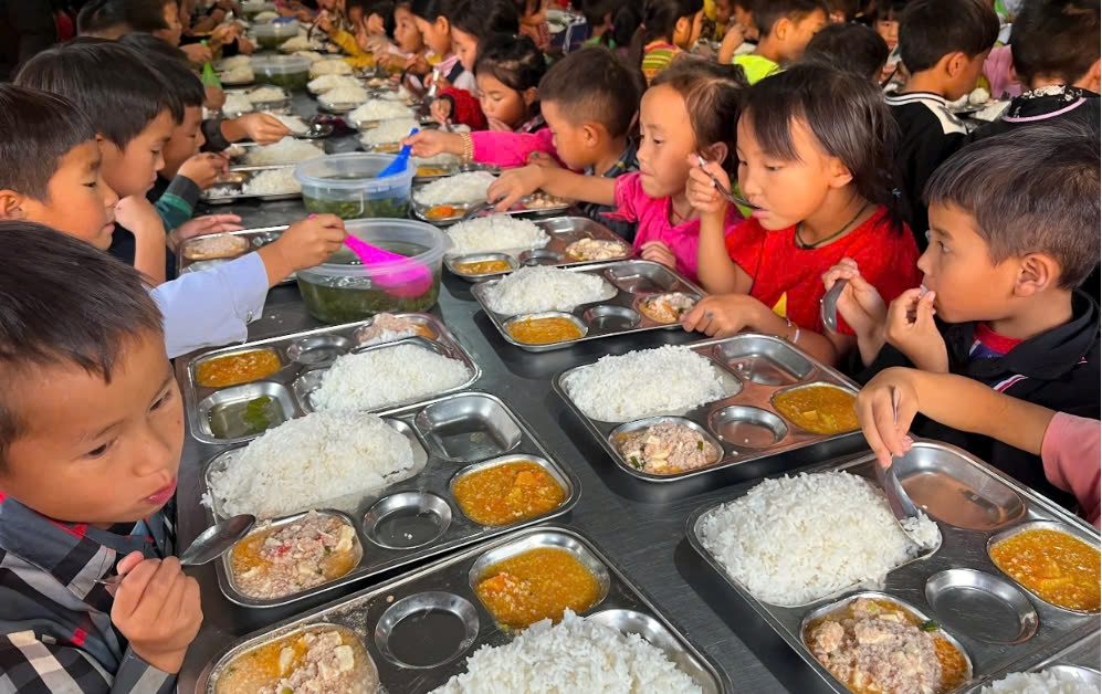 Hướng dẫn xây dựng Đề án tổ chức và vận hành các trường phổ thông nội trú- Ảnh 3.