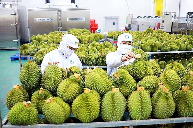Xây dựng THƯƠNG HIỆU QUỐC GIA cho SẦU RIÊNG VIỆT NAM- Ảnh 1.