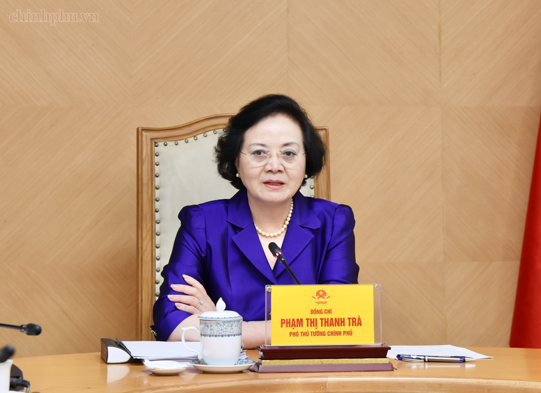 Phó Thủ tướng Phạm Thị Thanh Trà họp về xây dựng Đề án cải cách chính sách tiền lương và bảo hiểm xã hội- Ảnh 3.