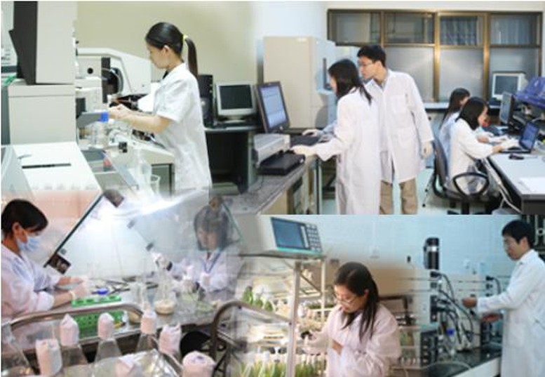 Thông tư 52/2026/TT-BKHCN: Danh mục vị trí công tác trong lĩnh vực khoa học, công nghệ phải định kỳ chuyển đổi- Ảnh 1.