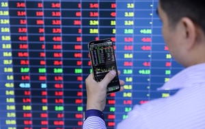 Vì sao thị trường chứng khoán Việt Nam biến động mạnh?
