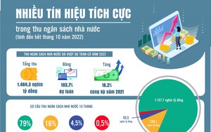 Infographics: Nhiều tín hiệu tích cực trong thu ngân sách nhà nước