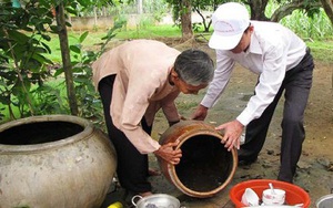 Cao điểm mùa dịch sốt xuất huyết, Bộ Y tế đề nghị triển khai ngay chiến dịch diệt lăng quăng/bọ gậy