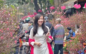 Danh sách 91 điểm chợ hoa xuân tại Hà Nội phục vụ Tết Nguyên đán Quý Mão 2023
