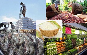 Việt Nam phấn đấu lọt 'Top 10' thế giới về chế biến nông sản