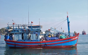 Chống khai thác IUU: Truy xuất nguồn gốc sản phẩm hải sản