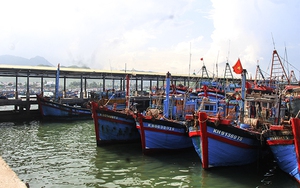 Quỹ hỗ trợ phát triển nghề cá Khánh Hòa - bổ sung nguồn lực phục vụ phát triển nghề cá