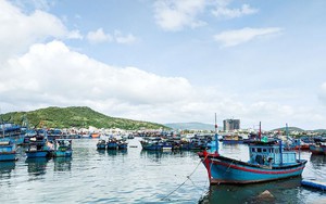 Bộ máy Quỹ hỗ trợ phát triển nghề cá Khánh Hòa