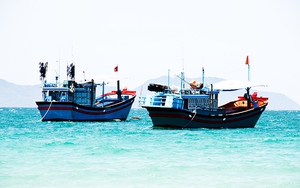 Ngăn chặn các tàu cá nghi vấn tổ chức đi khai thác hải sản ở vùng biển nước ngoài