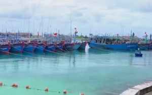 Phó Thủ tướng Lê Văn Thành làm Chủ tịch Hội đồng thẩm định Quy hoạch cảng cá, khu neo đậu tránh bão cho tàu cá