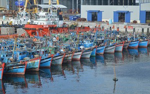 Toàn văn: Quyết định số 1150/QĐ-TTg ngày 30/9/2022 về việc thành lập Hội đồng thẩm định Quy hoạch cảng cá, khu neo đậu tránh trú bão cho tàu cá thời kỳ 2021 - 2030, tầm nhìn đến năm 2050