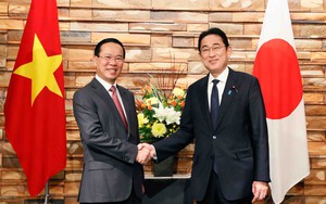 Nâng cấp quan hệ Việt Nam - Nhật Bản lên Đối tác Chiến lược toàn diện