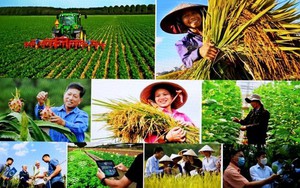 TOÀN VĂN: Nghị quyết số 46-NQ/TW của Bộ Chính trị về đổi mới, nâng cao chất lượng hoạt động của Hội Nông dân Việt Nam
