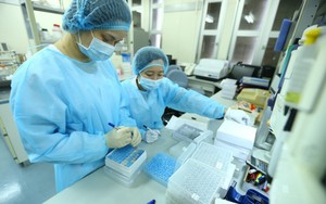 Ý kiến của Cục Y tế dự phòng về kiến nghị &quot;nuôi cấy virus SARS-CoV-2 trong phòng xét nghiệm an toàn sinh học của TPHCM&quot;