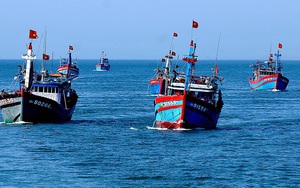 Tham mưu chính sách hỗ trợ trực tiếp ngư dân, đoàn viên Nghiệp đoàn nghề cá khai thác xa bờ