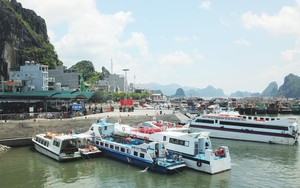 Kiểm tra tàu, xuồng hết đăng kiểm chở khách công khai ở Quảng Ninh
