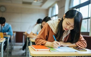 Hướng dẫn sử dụng chứng chỉ để miễn thi ngoại ngữ tốt nghiệp THPT 2023