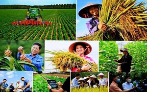 TOÀN VĂN: Nghị định 37/2023/NĐ-CP về hoạt động của Quỹ Hỗ trợ nông dân