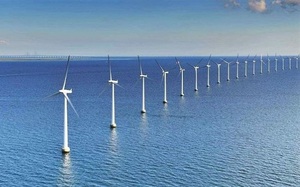 Thí điểm giao các tập đoàn, tổng công ty nhà nước phát triển điện gió ngoài khơi