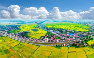 Liên kết, hợp tác nội vùng và liên vùng, tập trung vào ba động lực đầu tư, tiêu dùng, xuất khẩu