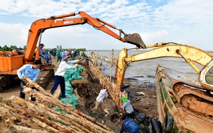 TÌNH HUỐNG KHẨN CẤP TẠI CÀ MAU: Sạt lở bờ biển đặc biệt nguy hiểm hơn 29km, đe dọa nhiều khu dân cư, trường học, công sở,...