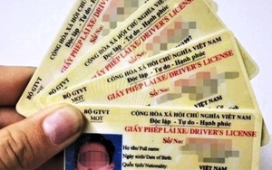 Đề xuất Chính phủ quy định chi tiết hạng giấy phép lái xe