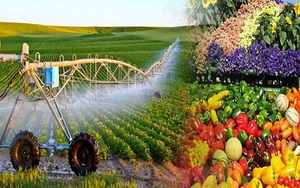 Phê duyệt chiến lược phát triển trồng trọt trở thành ngành kinh tế xuất khẩu hàng chục tỷ USD mỗi năm