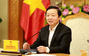 Phó Thủ tướng Trần Hồng Hà làm Chủ tịch 2 Hội đồng thẩm định Quy hoạch mạng lưới cơ sở giáo dục