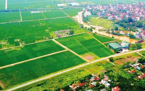 Thủ tướng phê bình các địa phương chậm trễ ban hành văn bản hướng dẫn Luật Đất đai
