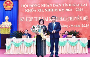 Bầu bổ sung Trưởng ban, miễn nhiệm 2 thành viên UBND tỉnh