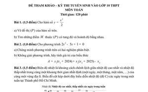 Đề tham khảo môn Toán thi vào lớp 10 TPHCM theo chương trình mới