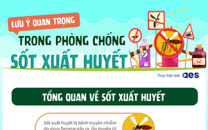 Lưu ý quan trọng phòng chống sốt xuất huyết cho mỗi gia đình