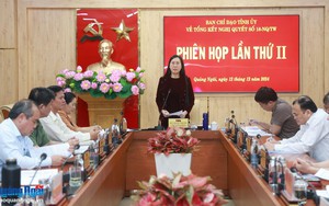 Phương án sắp xếp, tinh gọn bộ máy của tỉnh Quảng Ngãi