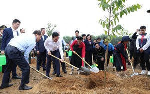 Chủ tịch nước Võ Văn Thưởng: Mỗi cây được trồng là món quà vô giá gửi đến tương lai