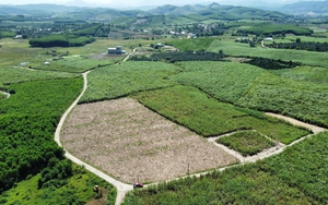 Luật Đất đai 2024: Quy định hạn mức giao đất nông nghiệp