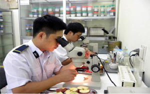 Đề xuất Danh mục vật thể thuộc diện kiểm dịch thực vật