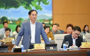 Chất vấn Bộ trưởng Bùi Thanh Sơn công tác bảo hộ công dân; sắp xếp, kiện toàn bộ máy ngoại giao
