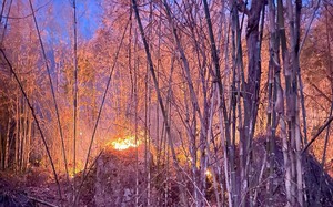 Nguy cơ cháy rừng cực kỳ nguy hiểm: Ban Thường vụ Tỉnh ủy, UBND tỉnh chỉ đạo cấp bách ứng phó