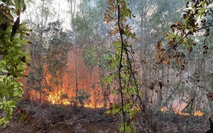 Ứng trực 24/24, sẵn sàng lực lượng chữa cháy rừng và cứu hộ, cứu nạn
